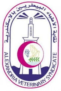 WhatsApp Image 2025-11-05 at 2.42.13 PM (1)